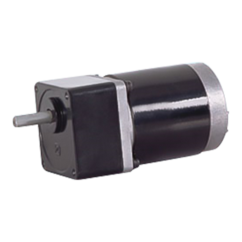 60JB50K/60ZY75 Permanens Magnet Stabilis Peniculus Calcar Apparatus Motor