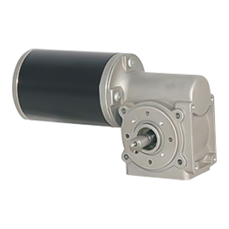 63JW/63ZY105 Permanens Magnet Peniculus Worm Apparatus Motor