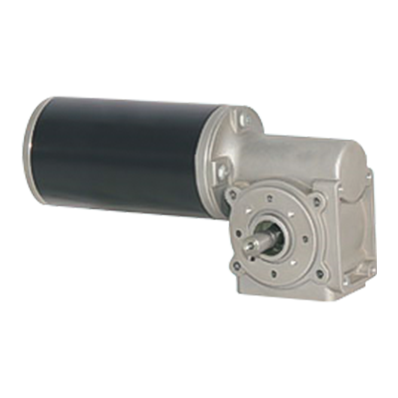 63JW / 63ZY125 Princeps Torque Peniculus Worm Apparatus Motor ad libitum Encoder / Fregit