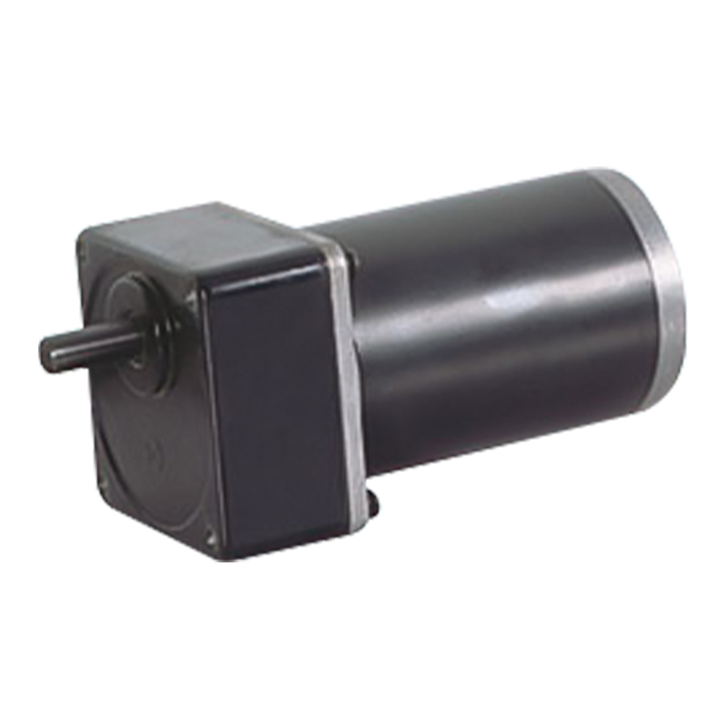 Permanent Magnet DC Brushed Spur Gear Motor