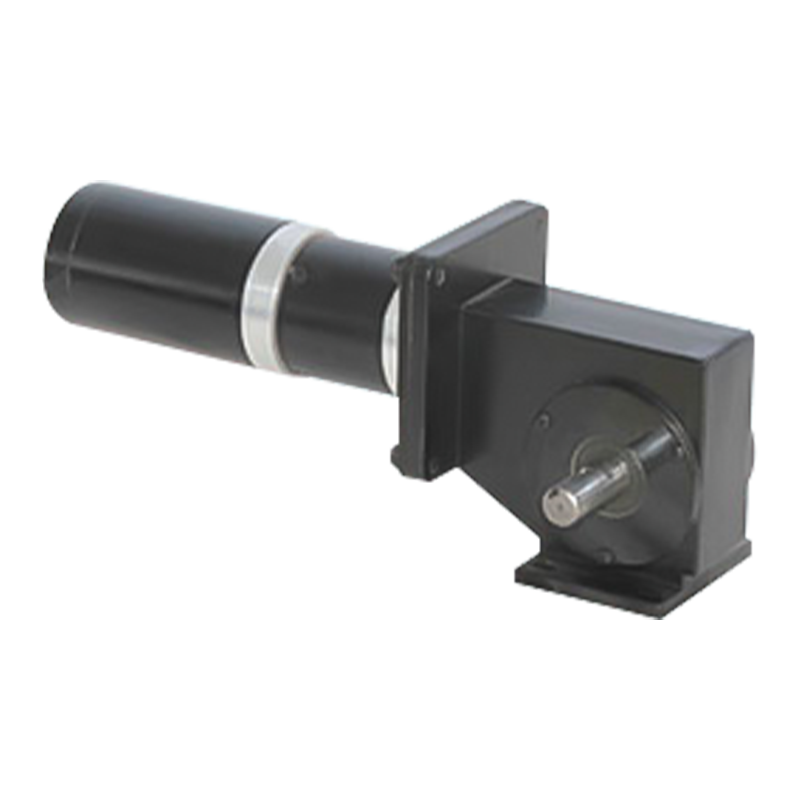 90JW/60JX/60ZY Princeps Apparatus Ratio Permanens Magnet Peniculus Worm Apparatus Motor