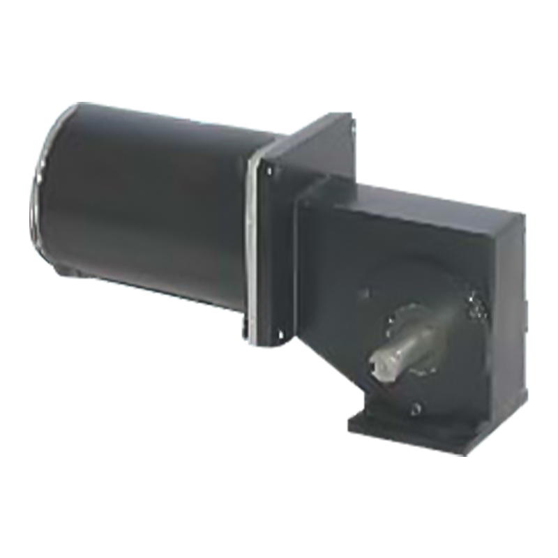 90JW/83ZY125 2000-3000 RPM Permanens Magnet Brushed Worm Apparatus Motor
