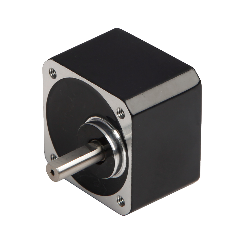 42JBK30K 42mm Praecisio Planetaria Small Backlash Gearbox